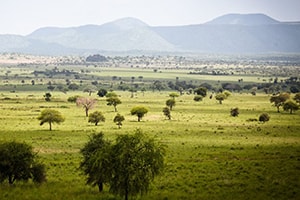 Tourist Sites in Uganda