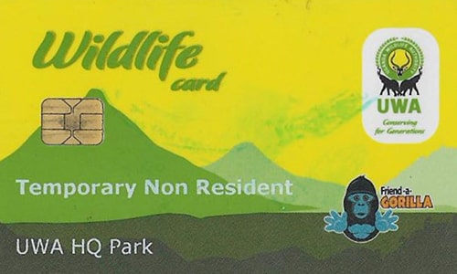 Gorilla Permit